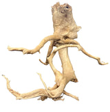  Large Piece of Spiderwood