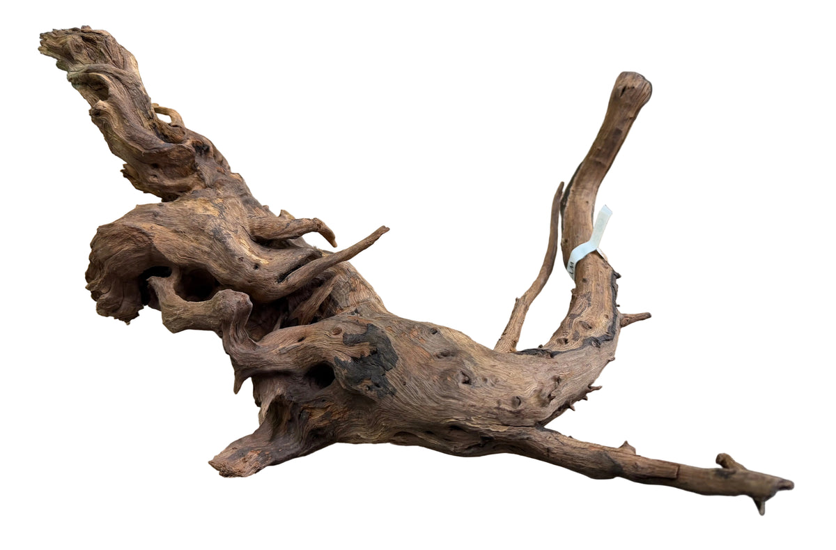 Malaysian Mangrove Wood