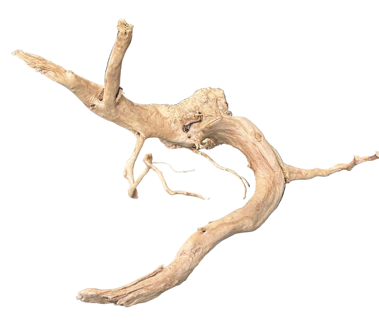 W.Y.S.I.W.Y.G.- 602-  Large Piece of Spiderwood | Substrates & Hardscape | Largest Tropical Fish Selection at Your Local Fish Store