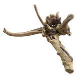 Piece of Spiderwood