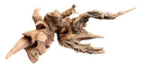 Malaysian Mangrove Sinking Driftwood