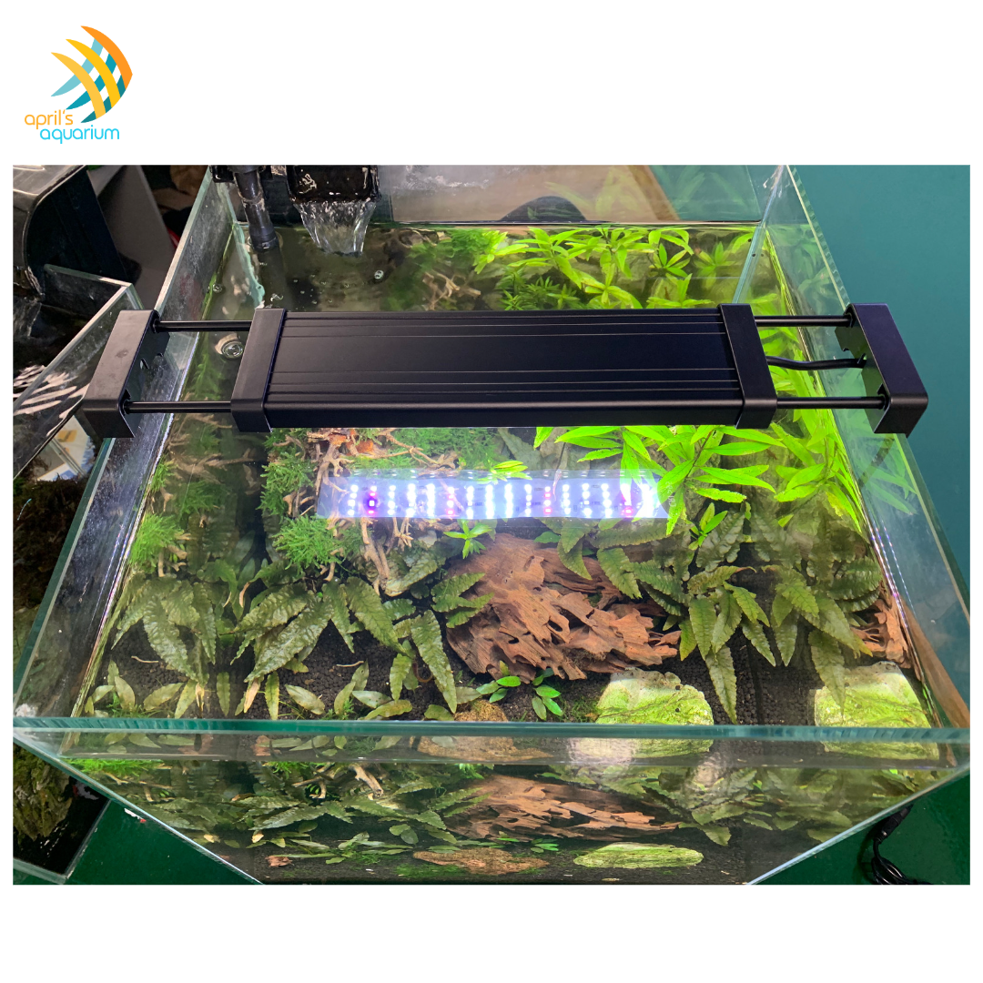 Aquarium Co-Op Digital Easy Plant LED Light