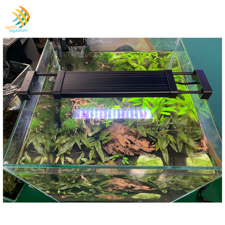 Aquarium Co-Op Digital Easy Plant LED Light Lighting & Heating Aquarium Co-Op Digital Easy Plant LED Light