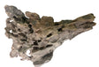  Texture / Shrimp Driftwood