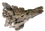  Texture / Shrimp Driftwood