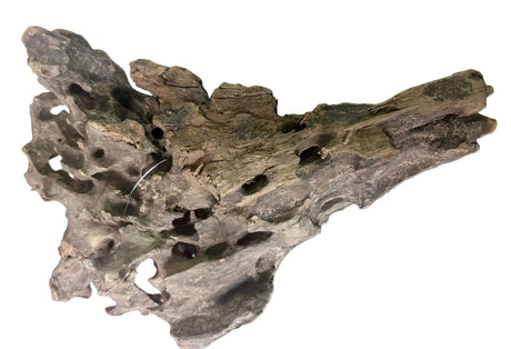  Texture / Shrimp Driftwood
