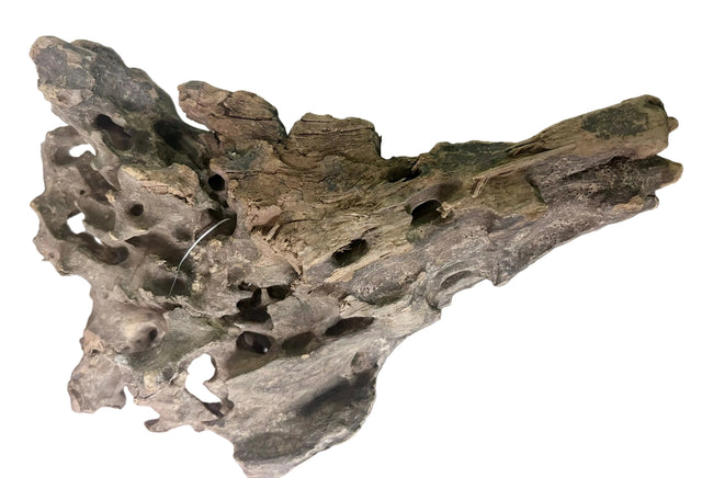  Texture / Shrimp Driftwood
