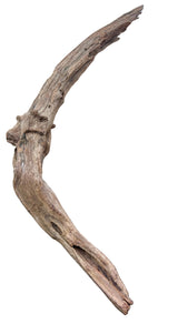 Malaysian Mangrove Sinking Driftwood