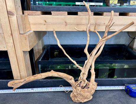 W.Y.S.I.W.Y.G.- 601 - Large Piece of Spiderwood | Substrates & Hardscape | Largest Tropical Fish Selection at Your Local Fish Store