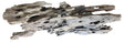 Texture / Shrimp Driftwood