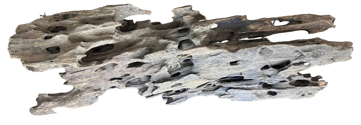 Texture / Shrimp Driftwood