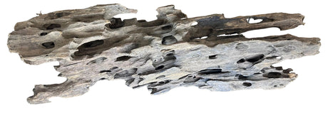 Texture / Shrimp Driftwood