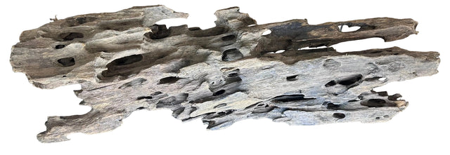 Texture / Shrimp Driftwood
