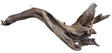 Malaysian Mangrove Sinking Driftwood