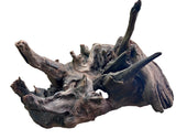  Malaysian Mangrove Sinking Driftwood