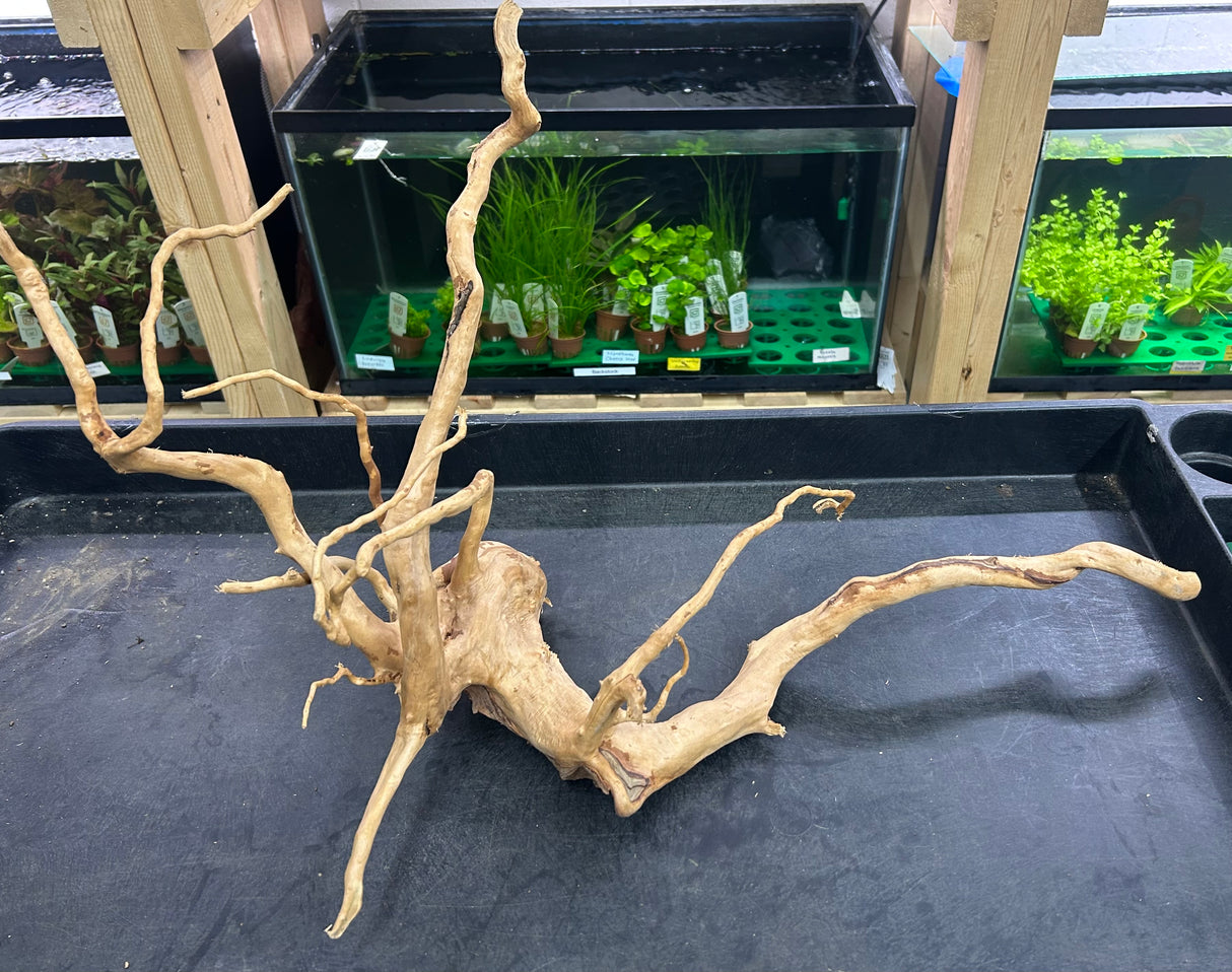 W.Y.S.I.W.Y.G.- 609 - Large Piece of Spiderwood