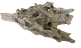  Texture / Shrimp Driftwood
