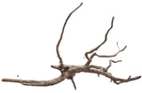  Piece of Red Moor Spiderwood