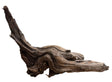  Malaysian Mangrove Wood
