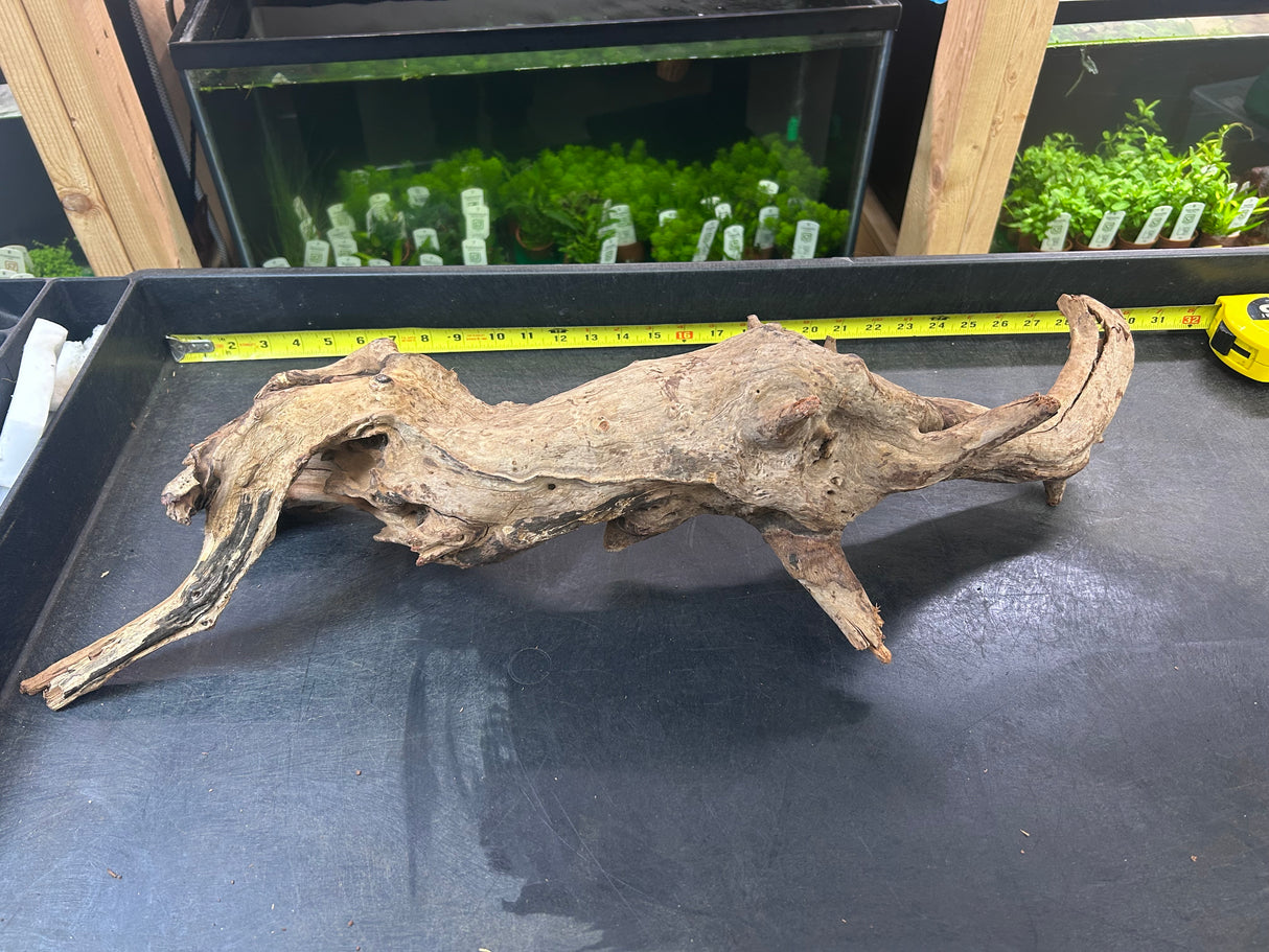 W.Y.S.I.W.Y.G.- 420 - Malaysian Mangrove Wood