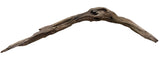 Malaysian Mangrove Sinking Driftwood