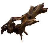 Malaysian Mangrove Sinking Driftwood