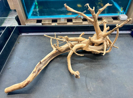 W.Y.S.I.W.Y.G.- 609 - Large Piece of Spiderwood | Substrates & Hardscape | Largest Tropical Fish Selection at Your Local Fish Store