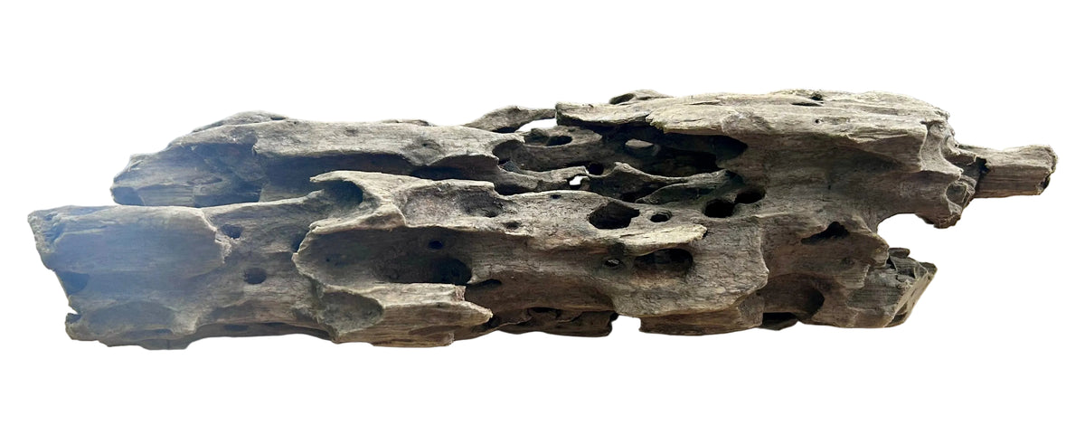 Texture / Shrimp Driftwood