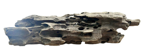 Texture / Shrimp Driftwood