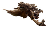 Malaysian Mangrove Sinking Driftwood