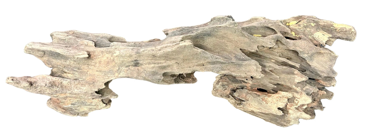 Texture / Shrimp Driftwood