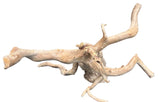 Spiderwood