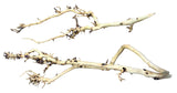 W.Y.S.I.W.Y.G.- 2009 - Thailand Branch Wood | Substrates & Hardscape | Largest Tropical Fish Selection at Your Local Fish Store