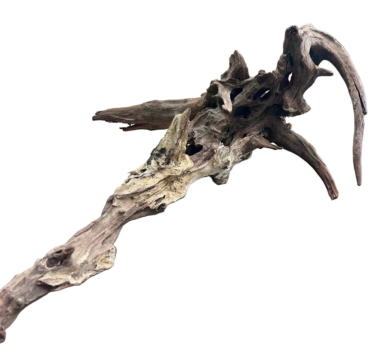 Malaysian Mangrove Wood