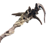 Malaysian Mangrove Wood