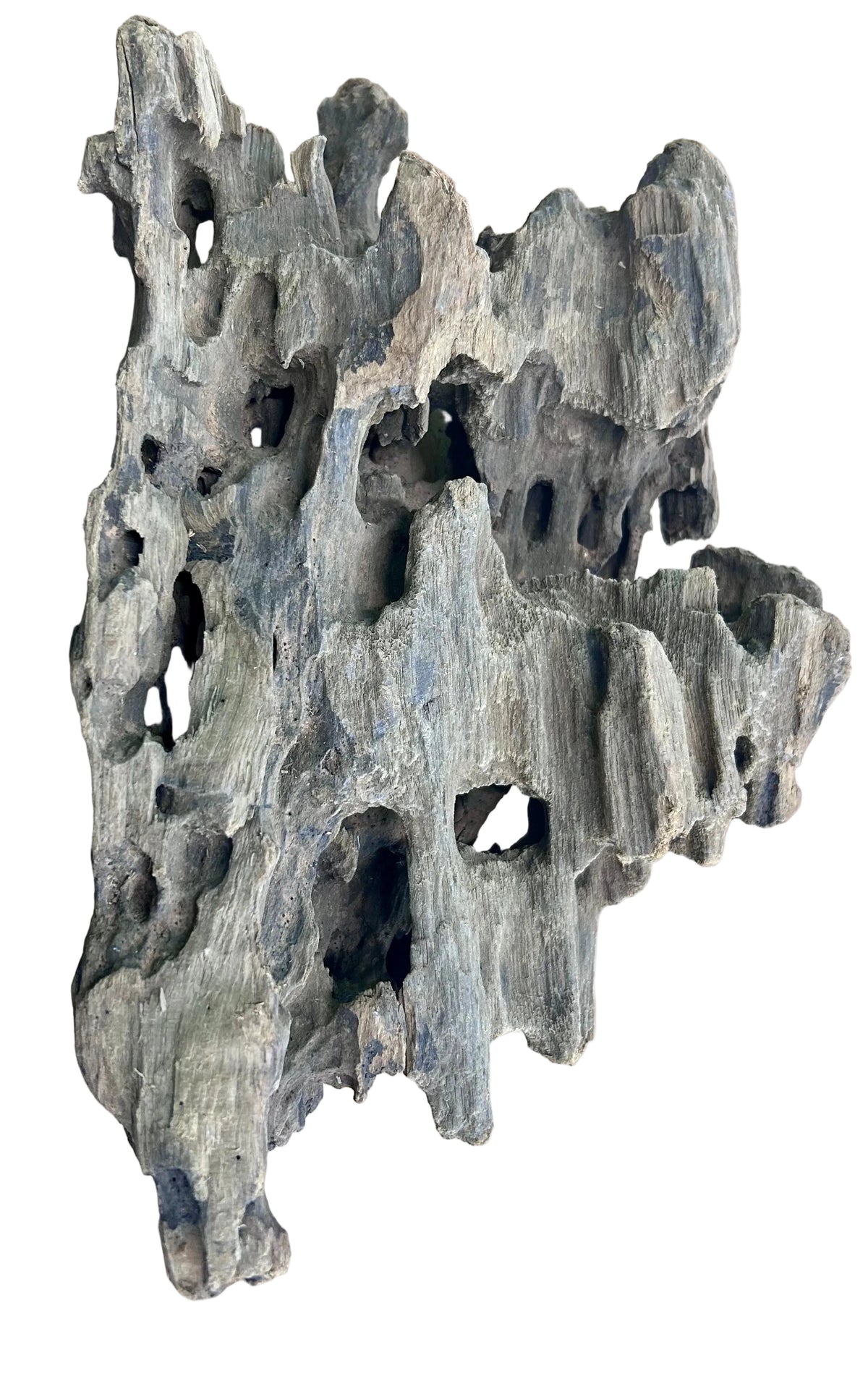 Texture / Shrimp Driftwood