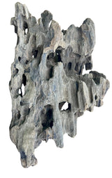 Texture / Shrimp Driftwood