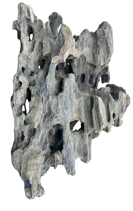 Texture / Shrimp Driftwood