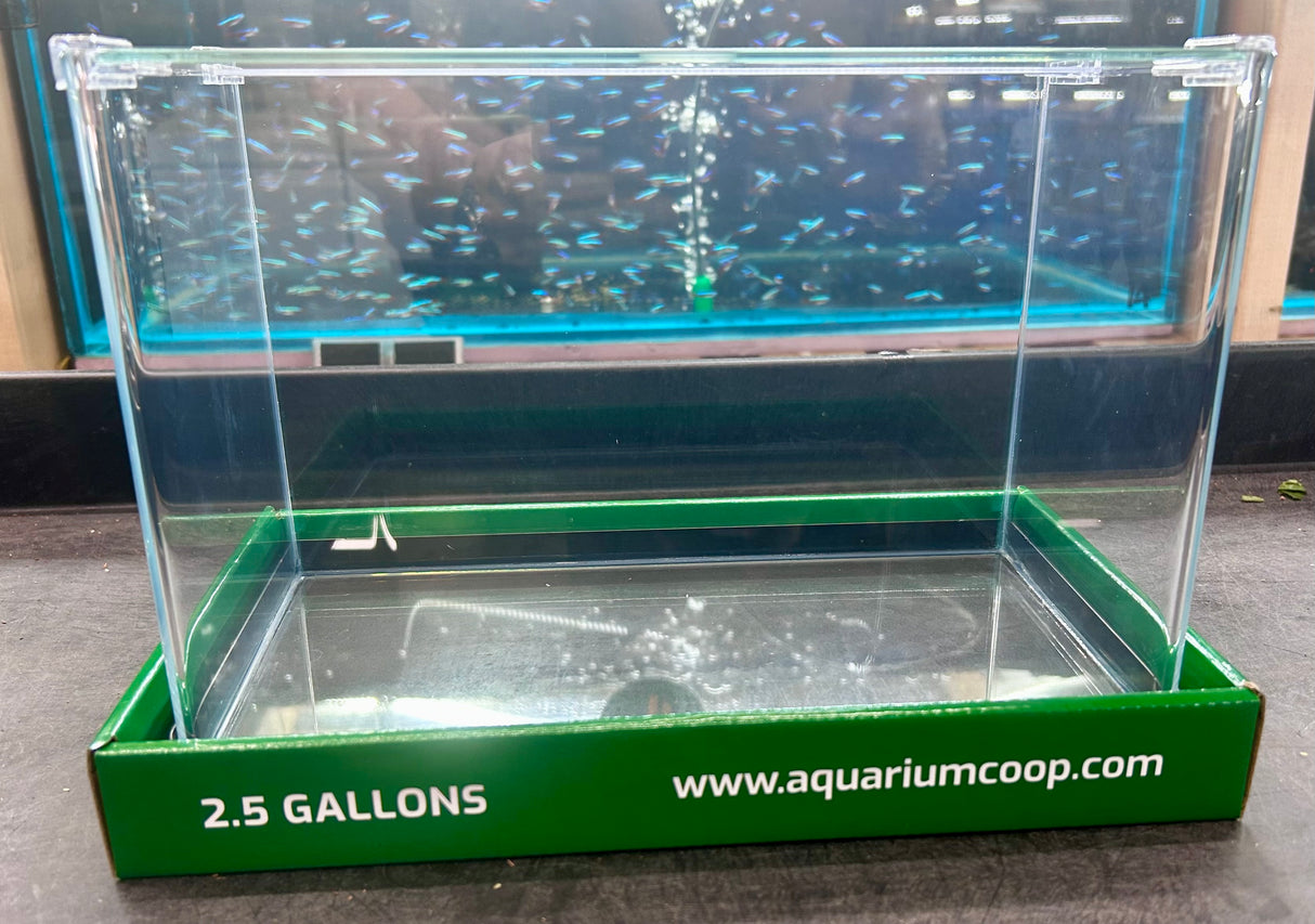 Aquarium Co-Op Curved Front Glass Aquarium | Aquariums | Largest Tropical Fish Selection at Your Local Fish Store
