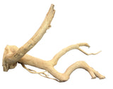 Large Piece of Spiderwood