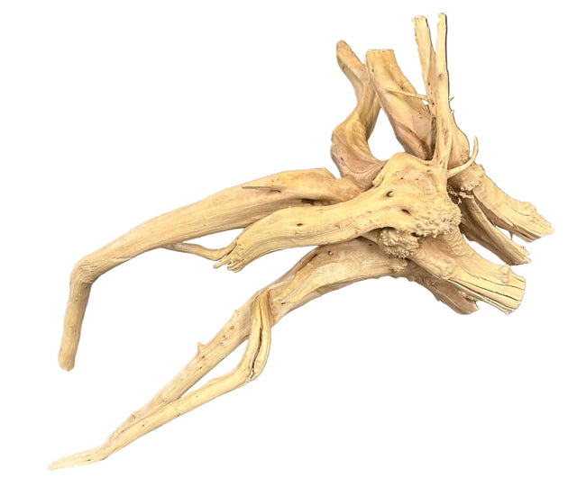 Piece of Spiderwood