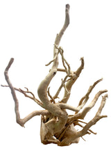 Large Piece of Spiderwood