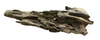 Texture / Shrimp Driftwood