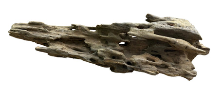Texture / Shrimp Driftwood