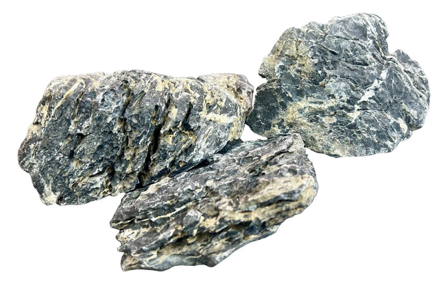  Black Seiryu Stone 
