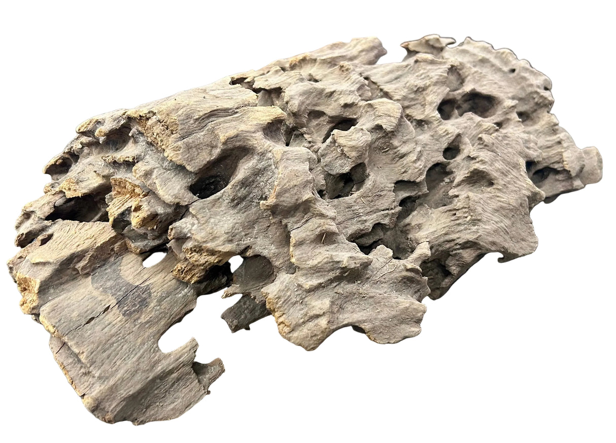 Texture / Shrimp Driftwood
