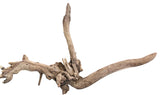 Malaysian Mangrove Sinking Driftwood