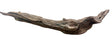 Malaysian Mangrove Sinking Driftwood