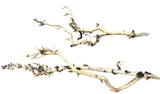 W.Y.S.I.W.Y.G.- 2009 - Thailand Branch Wood | Substrates & Hardscape | Largest Tropical Fish Selection at Your Local Fish Store