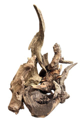  Malaysian Mangrove Wood 6 (pieces)